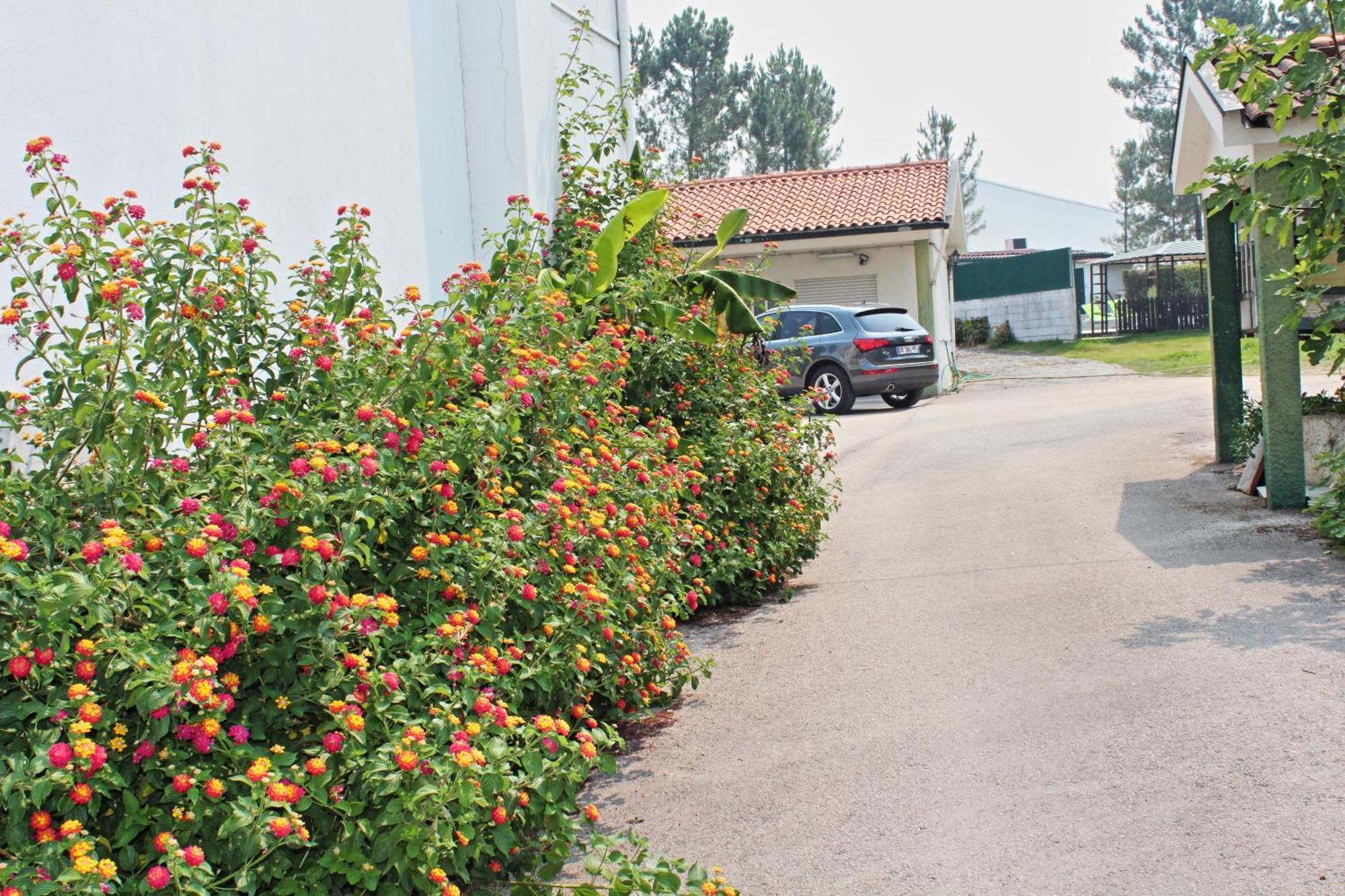 Residencial Pinho Verde Mealhada Luaran gambar